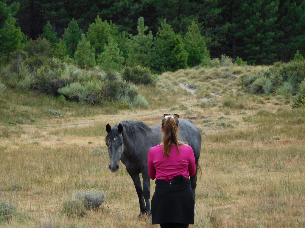Sendero Laguna La Zeta: A Hike Opportunity Near Esquel,&nbsp;Argentina