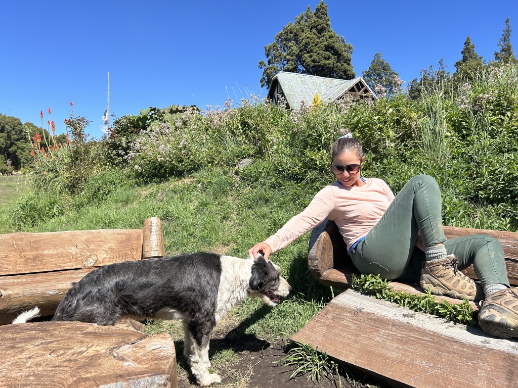 A Journey Through Welsh Heritage at Molino Harinero Nant&nbsp;Fach