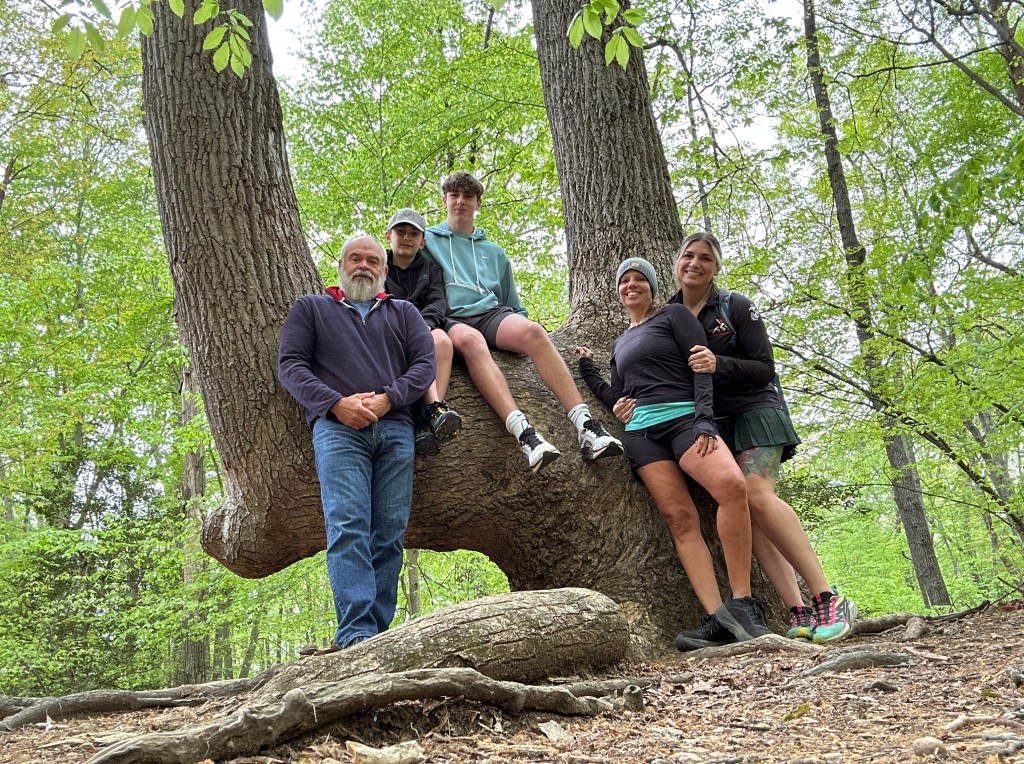 Unwind in Nature: Prince William Forest Hiking&nbsp;Experience