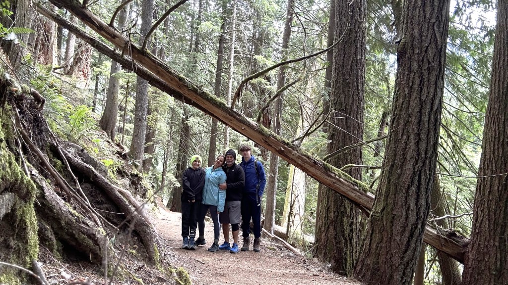 Exploring the Old-Growth Forests of Mount Rainier’s East Side&nbsp;Trail