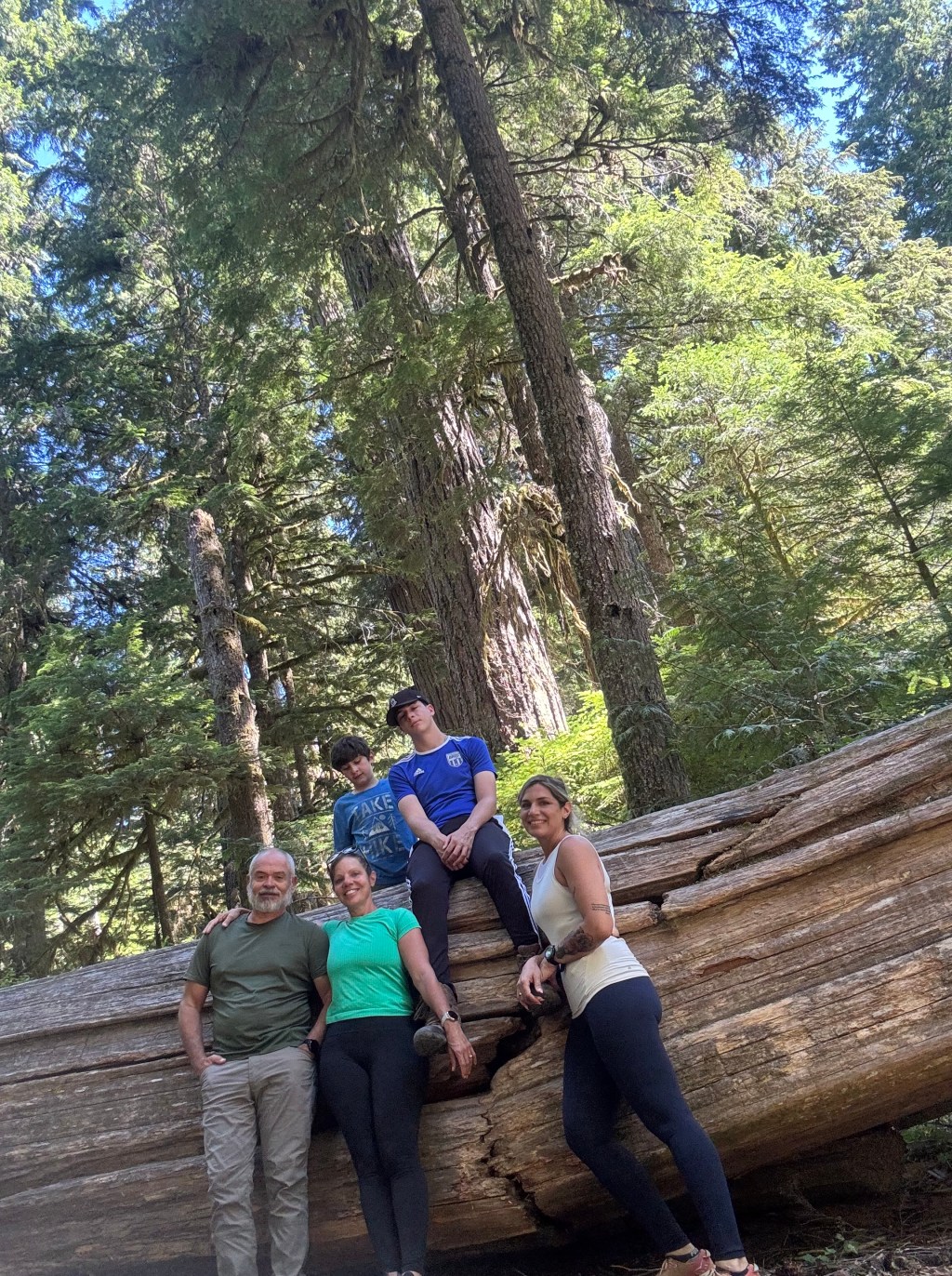 Exploring Mount Rainier: A Day of Alternative&nbsp;Hikes